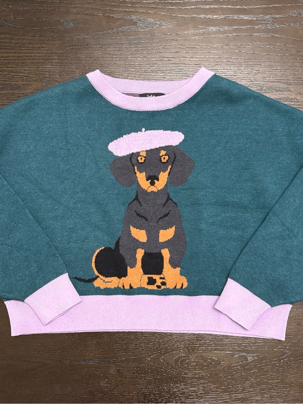 Dressed in LALA Teal Crewneck Sweater with Pink Trim & Dachshund Graphic